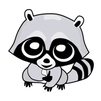 Raccoon Cute Funny Stickers