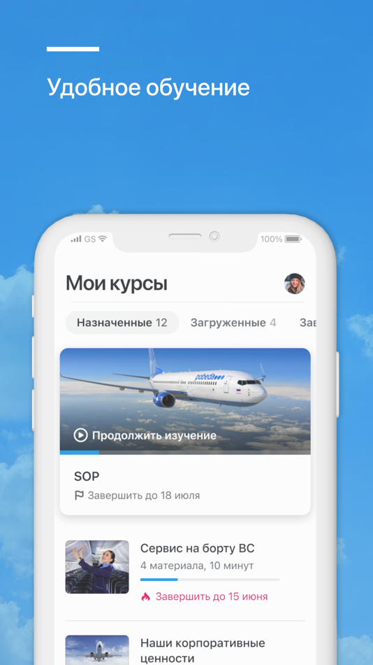 #2. DP Training (iOS) 由: Pobeda Airlines LLC