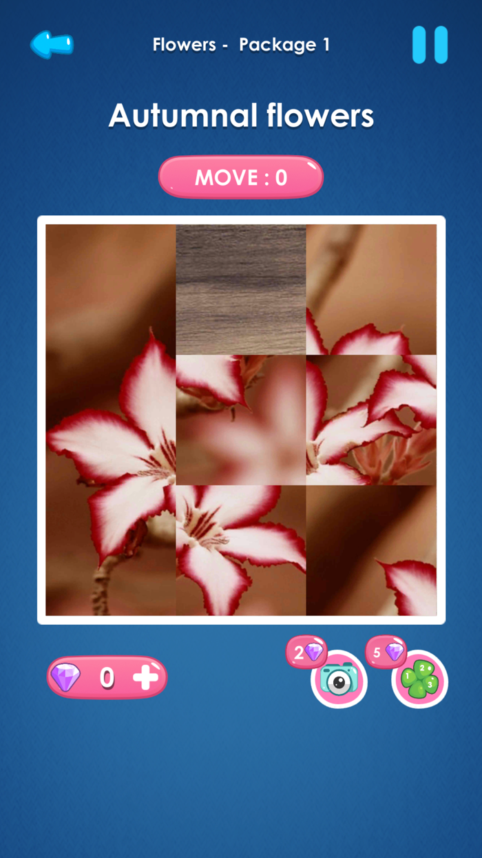 Slide Picture  Jigsaw Puzzle