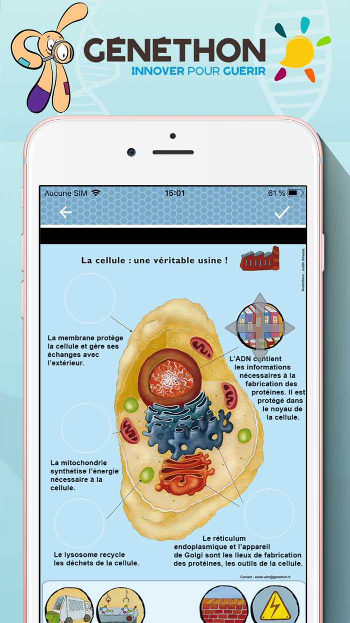 Voyage dans la cellule géante