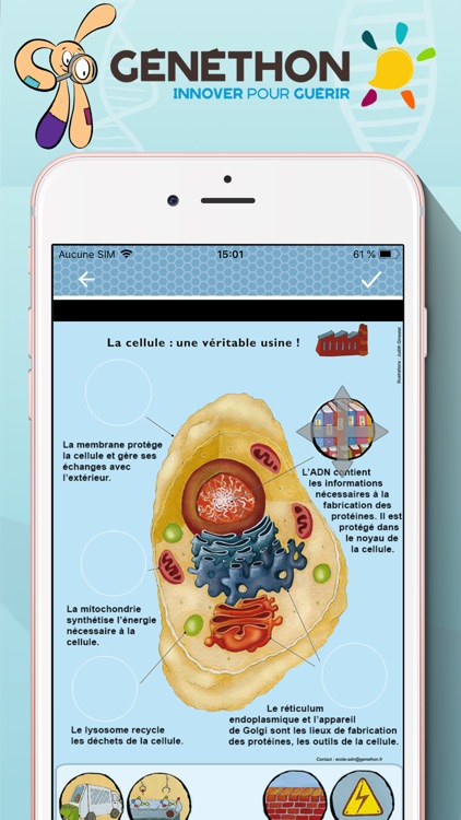 Voyage dans la cellule géante