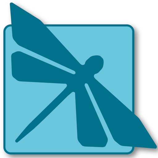 The Dragonfly Player