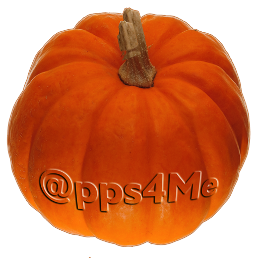 Pumpkin Weight Calculator icon