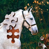 Jigsaw Puzzle Horses Edition