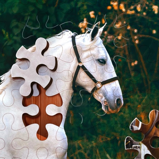 Jigsaw Puzzle Horses Edition icon