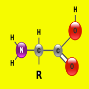 Amino Acids Structures Tutor