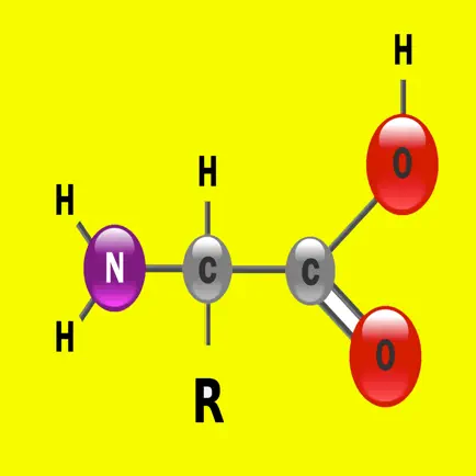 Amino Acids Structures Tutor Cheats