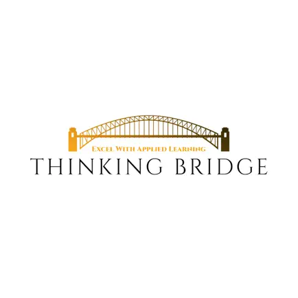 Thinking Bridge Читы
