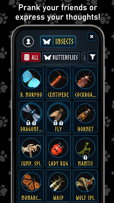 Eugene's AR: 3D Animal Pet Zoo Screenshot