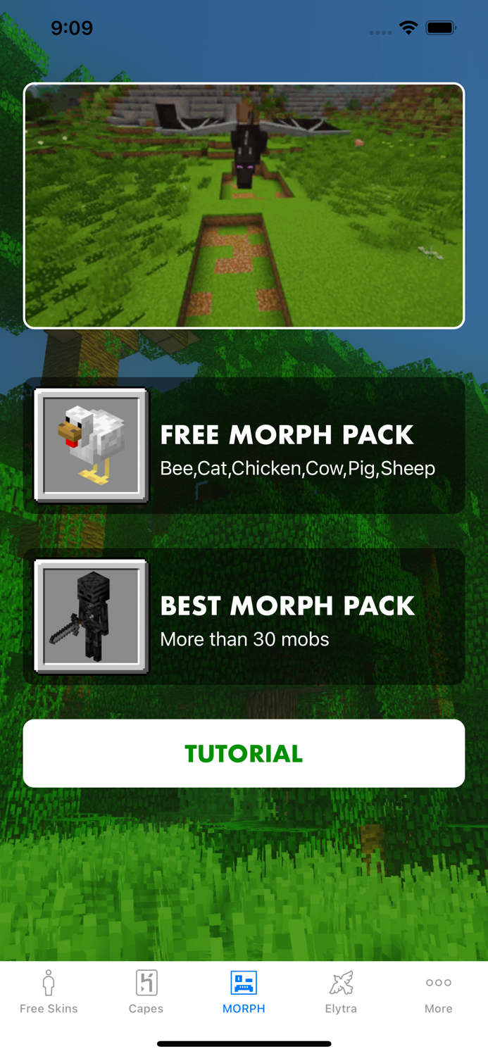 Morph Mod - Mods for Minecraft
