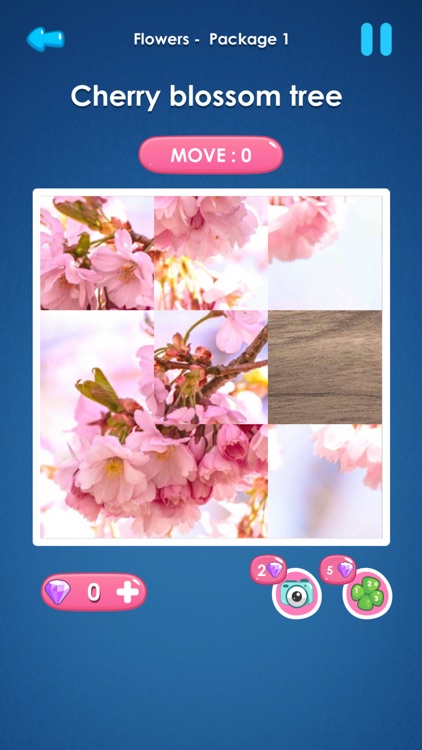 Slide Picture : Jigsaw Puzzle