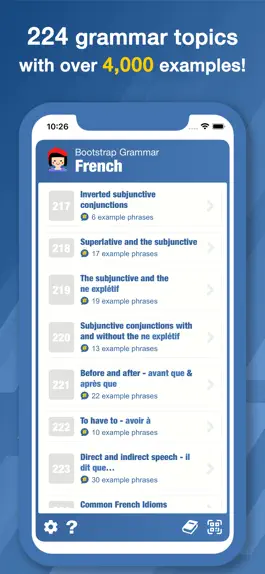 Game screenshot Bootstrap French Grammar apk