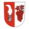 Obec Želešice icon