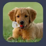 Dog Sounds - Clicker Trainer App Cancel