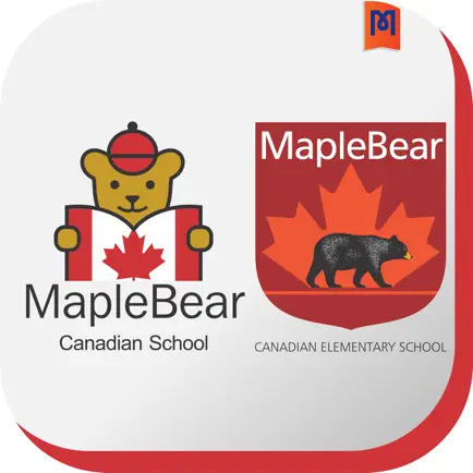 Maple Bear Vila Mascote Читы