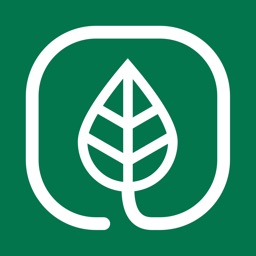 Madefresh