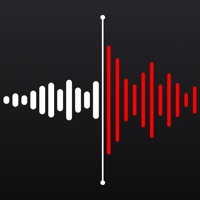 Voice Recorder logo