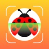 Insect ID Bug Identifier icon