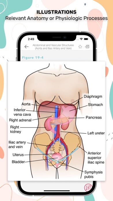 Nurses' HBK Health Assessment Screenshot