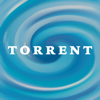 Torrent Pump Monitor - PumpSpy Technology, LLC