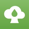TreeSap icon