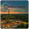 Wellbore Integrity-FIS