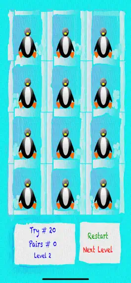 Game screenshot Pair Find hack