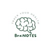 BraiNOTES icon