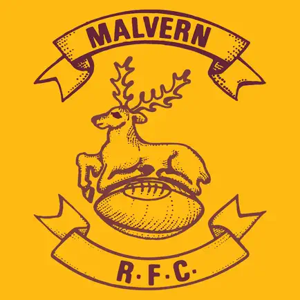 Malvern RFC Читы