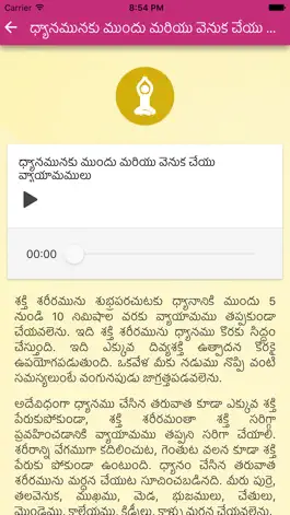 Game screenshot YPV Sadhana - Telugu hack
