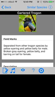 belize birds field guide iphone screenshot 3