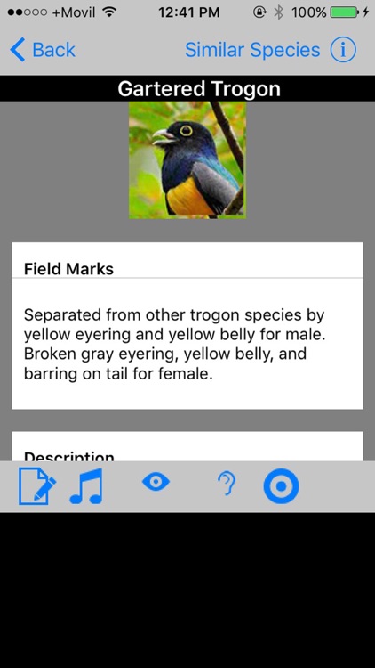 Belize Birds Field Guide