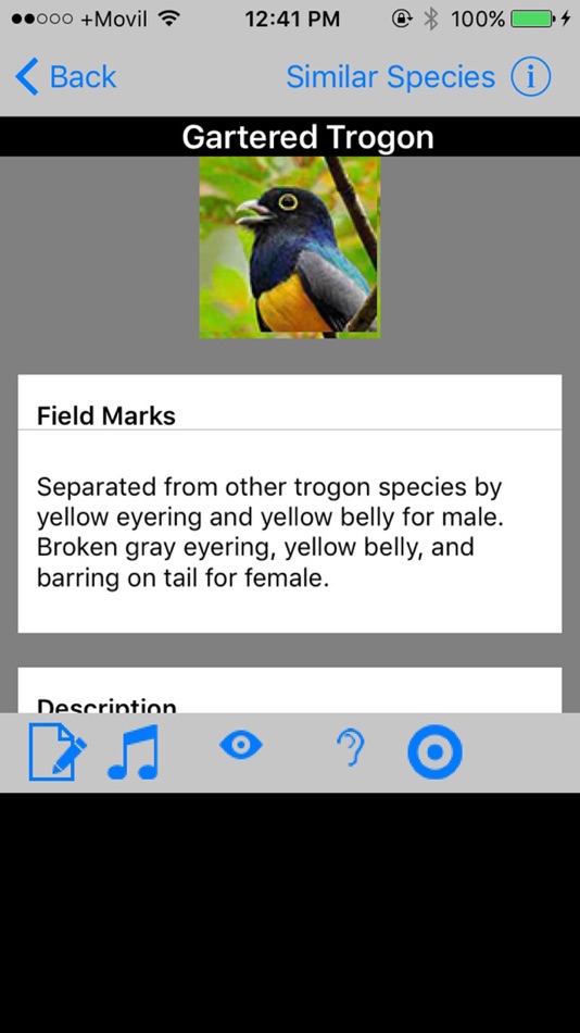 #3. Belize Birds Field Guide (iOS) 来自: Michael Mullin