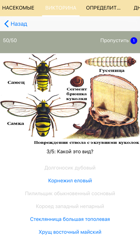 Атлас определитель 2 жалящие насекомые. Атлас определитель жалящие насекомые. Как отличить насекомых. Как распознавать насекомых .. Атлас насекомых вредителей.