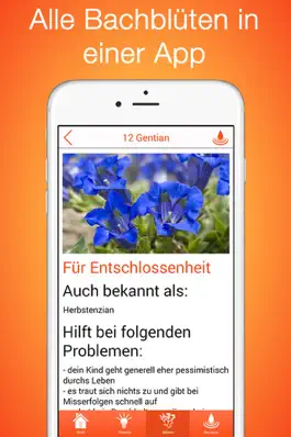 Game screenshot Bachblüten für Kinder PRO mod apk