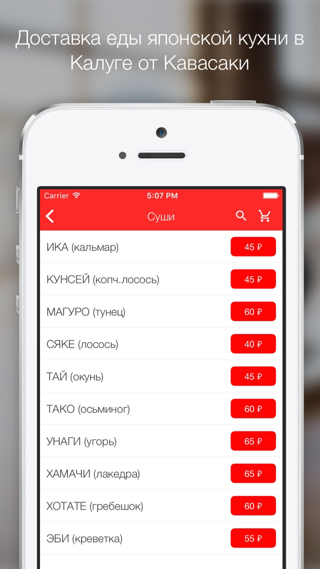 КАВАСАКИ  Калуга