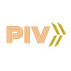PleasureInVegas icon