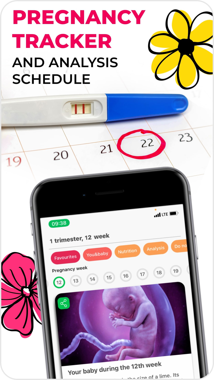 VITA Pregnancy diet plan