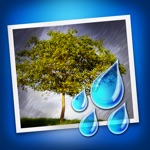 Download Rainy Daze app