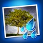 Rainy Daze app download