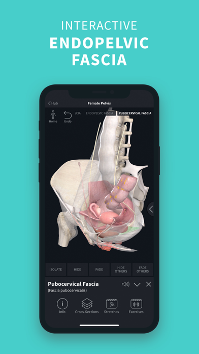 Complete Anatomy ‘24 screenshot1