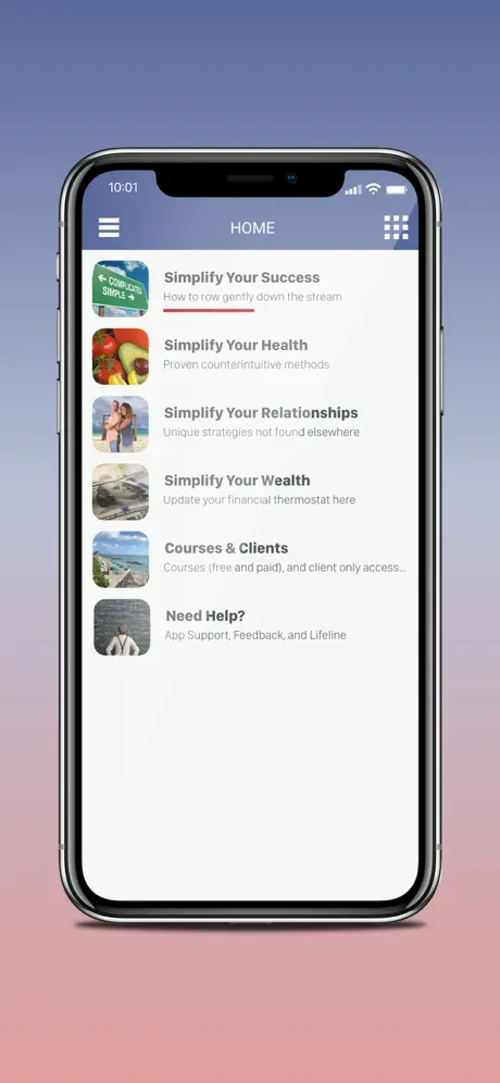 The Simplifier