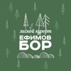 Ефимов Бор icon