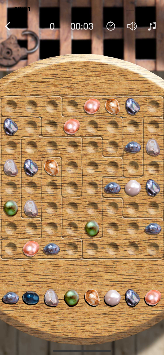 Sudoku Wiz Pirate Booty