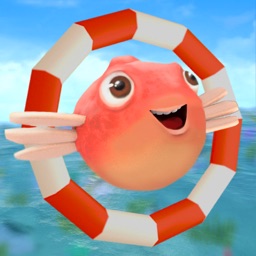 Flying Fin