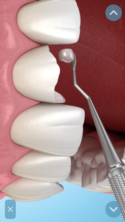 Dental 3D Illustrations screenshot-5