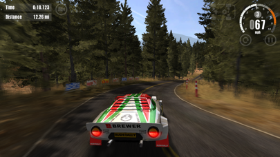 Screenshot from Rush Rally 3