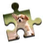 Cute Puppies Jigsaw Puzzle app download