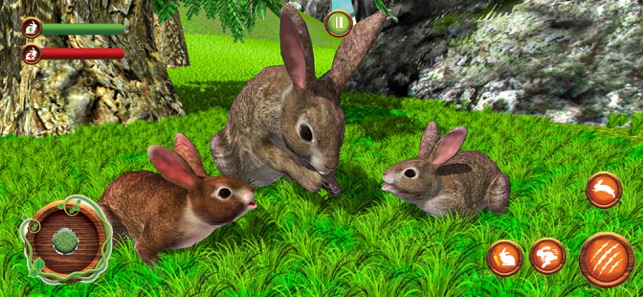 Bubble Bunny: Animal Forest on the App Store