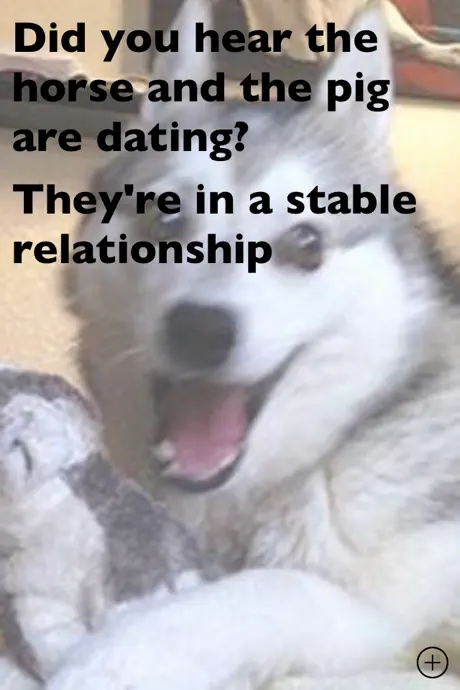 PunHusky Comedy Club